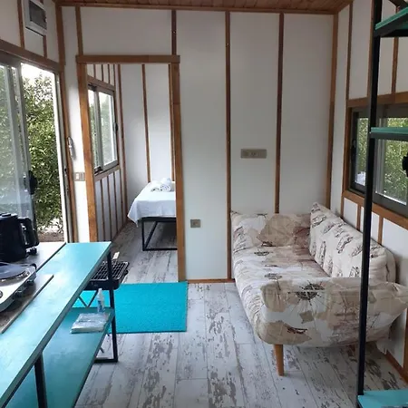 Wooddo Tiny House منتزه العطل *